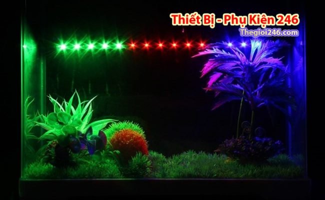 SAIGON THU CUNG