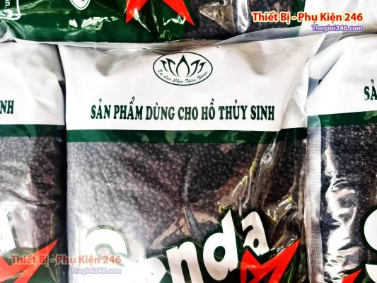 SAIGON THU CUNG