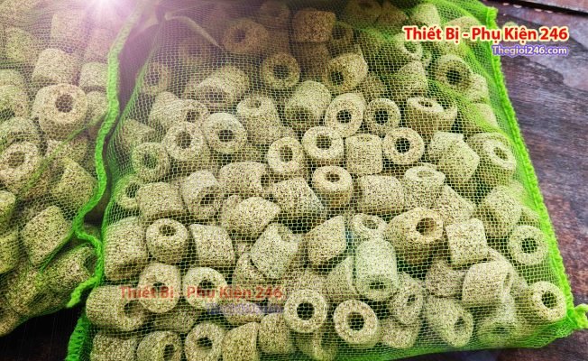SAIGON THU CUNG
